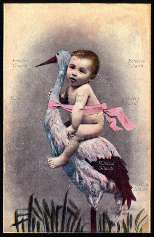 CICOGNA Neonato portato dalla cicogna, è affrancato con un fiocco rosa: è una femmina. Cartolina postale augurale del 1904