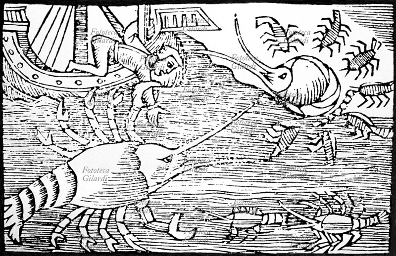 MOSTRI MARINI Nave assalita da \