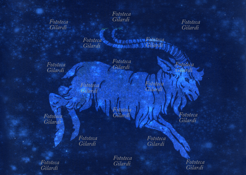 ZODIACO il Capricorno è il decimo segno zodiacale dell\