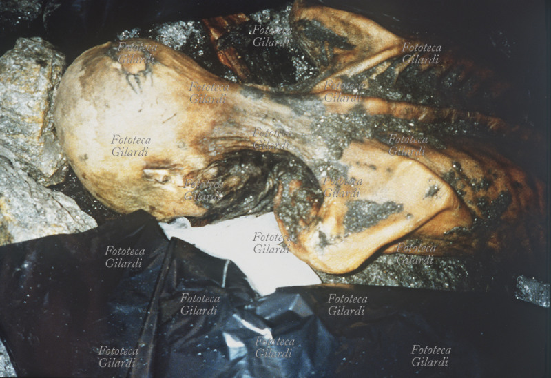 PREISTORIA Mummia di un uomo preistorico vissuto circa nel 3300 - 3100 a.C. ritrovata nei ghiacciai permanenti del Similaun, Val Senales in Tirolo il 19 settembre 1991. (dettaglio di nuca e scapole)