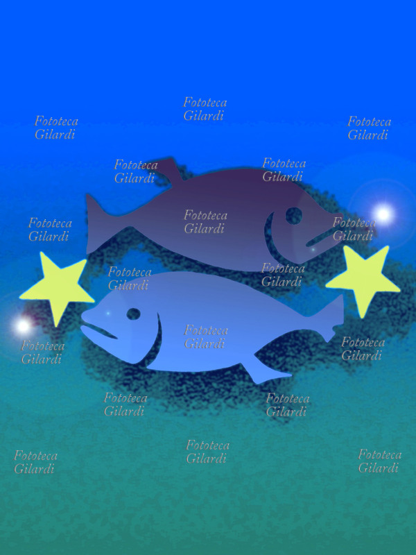 ZODIACO i Pesci sono il dodicesimo segno zodiacale dell\