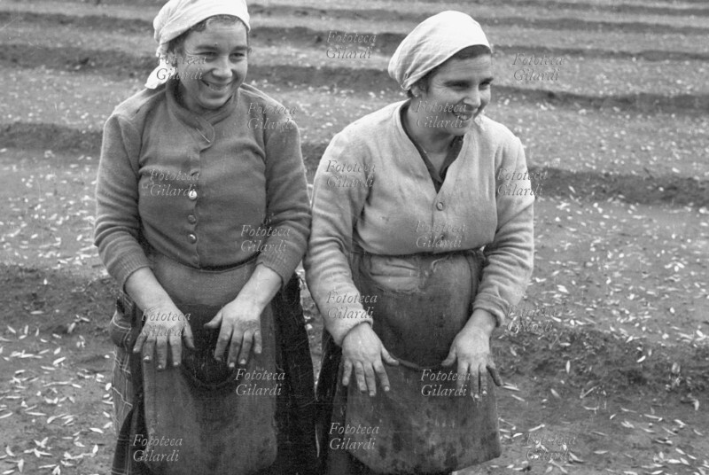 AGRICOLTURA due donne, raccoglitrici di olive, mostrano sorridendo le mani macchiate dal lavoro. Fotografia di Ando Gilardi (1921 - 2012) #andogilardi. Oliveto nei pressi di Gioia Tauro (RC), 1957.