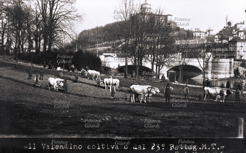 PRIMA GUERRA MONDIALE orto di guerra: il Valentino coltivato dal 23° Battaglione Milizia Territoriale, cinque coppie di buoi aggiogati agli aratri. La carenza dei viveri, oltre a generarne il razionamento evoca la necessità di trasfomare ogni terreno coltivabile in area produttiva di generi alimentari; ai militari il compito di essere d\