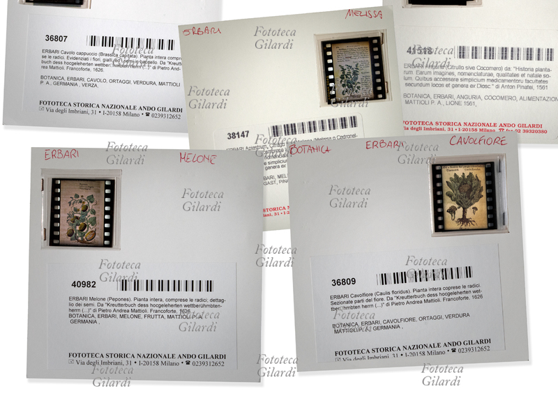 ARCHIVIAZIONE Fototeca Storica Nazionale Ando Gilardi - schede d\