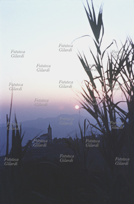 TRAMONTO La Pieve di Ponzone illuminata dagli ultimi raggi del sole, dietro i giunchi in controluce. Fotografia di Luciana Barbarino Gilardi (1927-2014). Piemonte, 1970