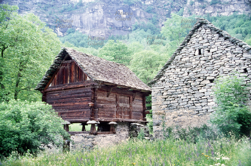 ARCHITETTURA Costruzione walser. Il sistema costruttivo detto del \