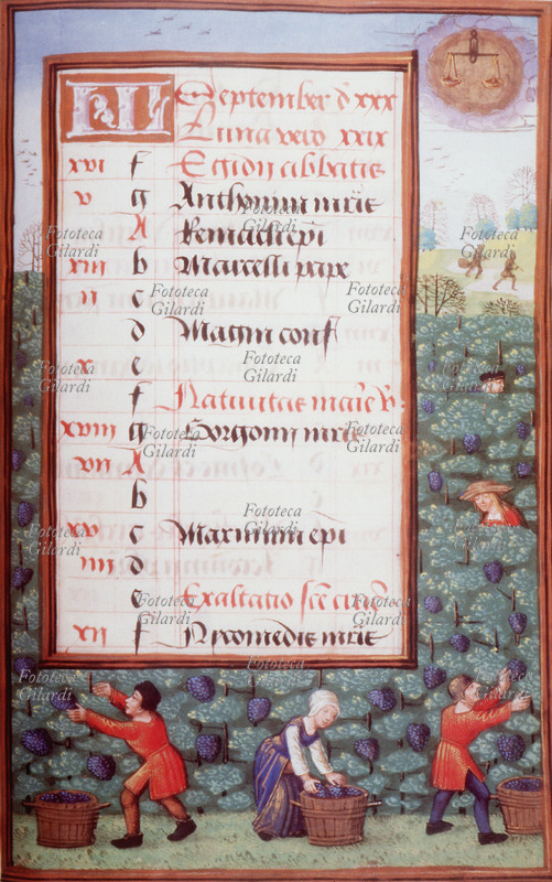 CALENDARIO giuliano Settembre. In alto a destra raffigurazione del segno zodiacale della Bilancia. In basso scena di vendemmia. Il metodo giuliano fu elaborato dall\