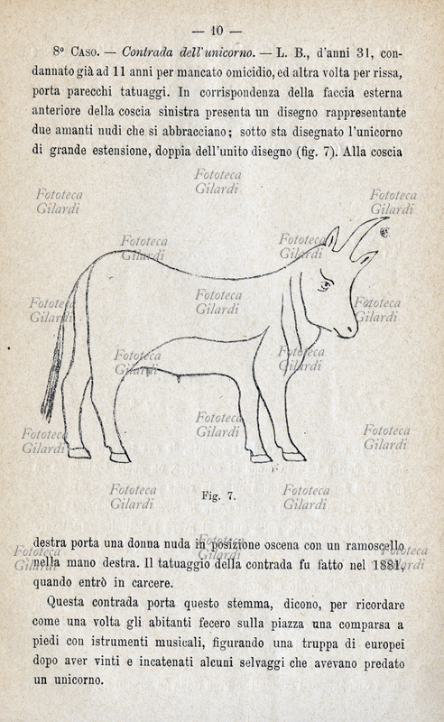 CRIMINAL ANTHROPOLOGY Unicorn, simplification of the emblem of the district \