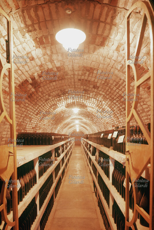 VINO Veduta di un corridoio di una cantina piemontese, file sterminate di bottiglie. La fotografia venne realizzata durante una ricerca sulla produzione viti-vinicola nell\