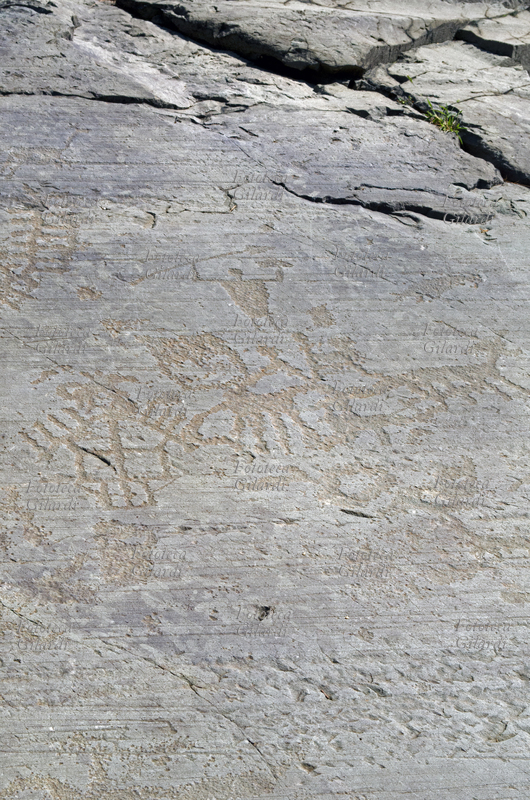 CAMUNI Raffigurazione di animali, figure umane con lancia ed edifici del villaggio, petroglifi su arenaria permiana. Parco Nazionale delle Incisioni Rupestri, età del ferro/bronzo - 5°/1° millennio a.C., sito riconosciuto dall\