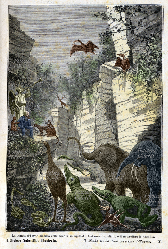 PREISTORIA La tromba del gran giudizio della scienza ha squillato. Essi sono risuscitati e il naturalista li classifica. Didascalia originale, che esprime pienamente lo spirito progressista Ottocentesco, dell\
