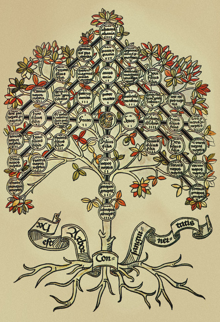 ALBERO GENEALOGICO ORIGINI DEL MONDO