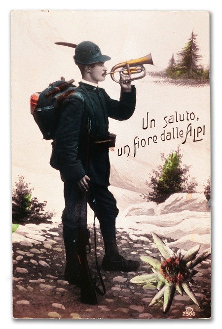 REGIMENT ALPINE A SALUTE FROM THE ALPS 1915 1918