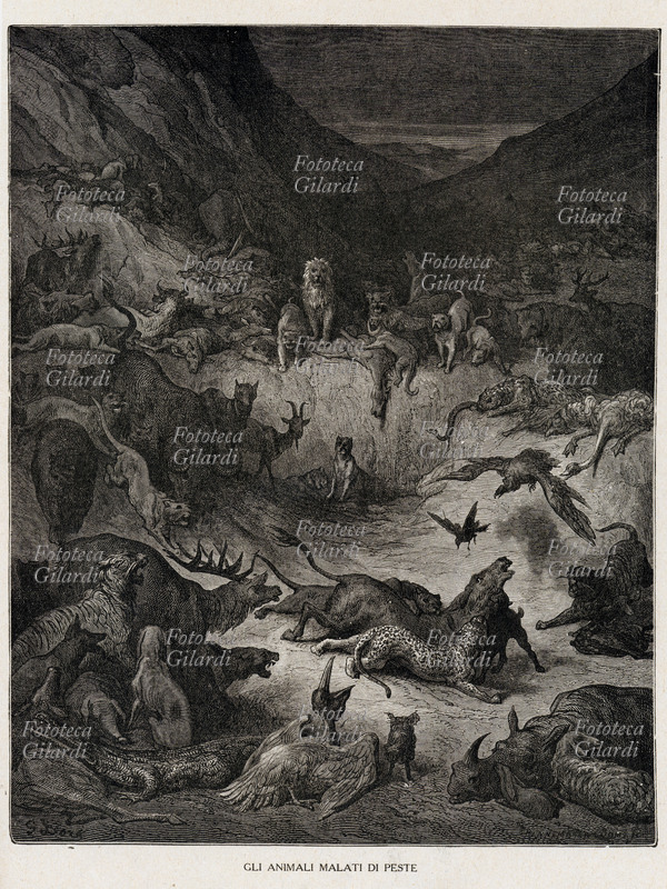 Jean de LA FONTAINE (1621-1625) Gli animali malati di peste. Incisione xilografica di Gustave Dorè per illustrare un\