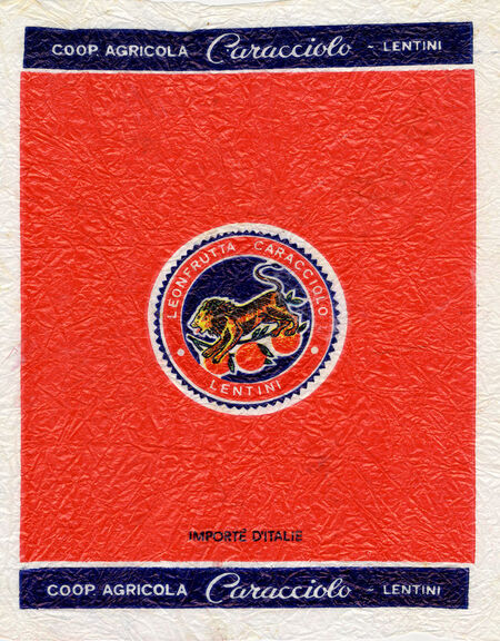 ARANCE SICILIANE LEONE