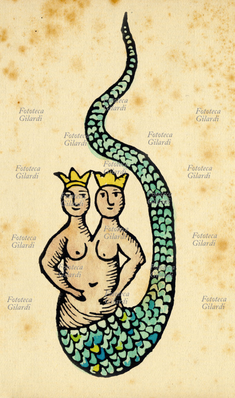 SIRENA bicefala incoronata . Incisione da trattato del XV secolo