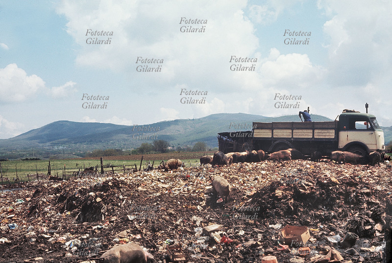 SPAZZATURA In una discarica alla periferia di Roma si utilizzano i rifiuti organici per allevare i maiali; i materiali non commestibili come lattine, stoffe, vetri, legname vengono recuperati e riciclati. Seppure di quantomeno dubbia liceità, si tratta di uno dei primi utilizzi economici della spazzatura proveniente dalla città, raccolta in maniera indifferenziata. Dopo il passaggio degli animali e l\
