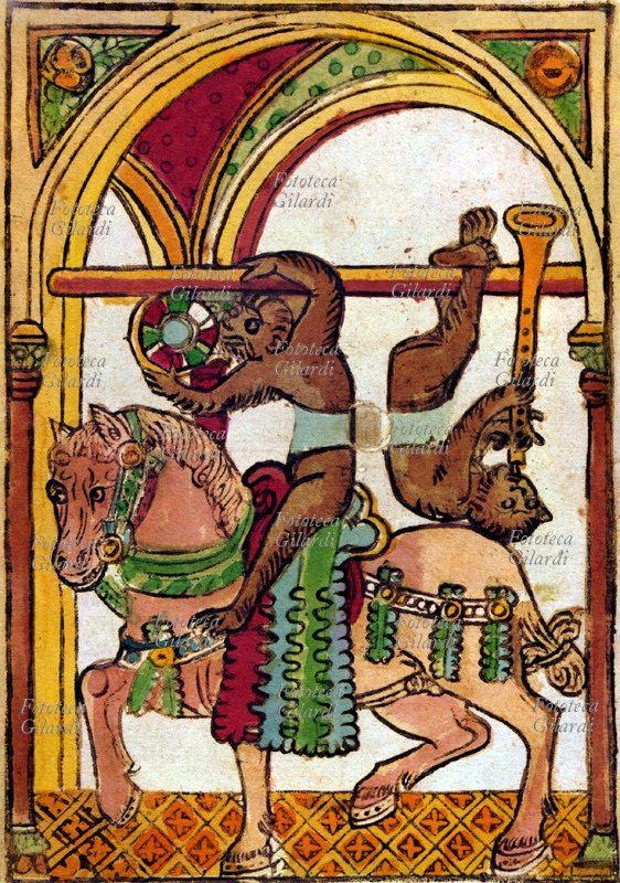 Le scimmie cavalcano un cavallo, una tiene l\