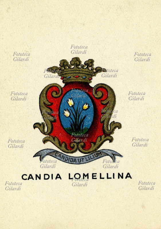 CANDIA LOMELLINA (Pavia) centro situato nella pianura irrigua alla sinistra del fiume Sesia, a 51 km. dal capoluogo. Scudo d\