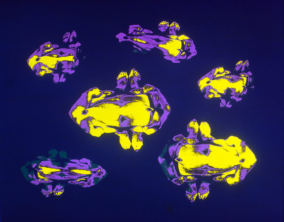 COLOR G R COME ANDROMEDA