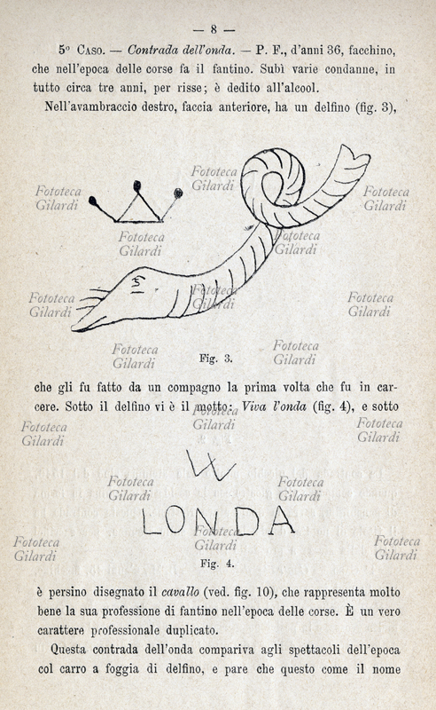 ANTROPOLOGIA CRIMINALE Delfino stilizzato e motto \