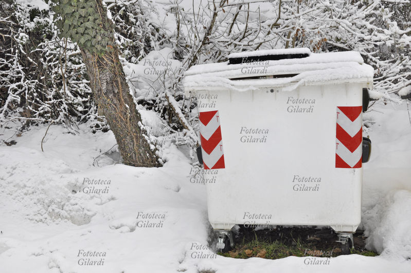 RACCOLTA DELLA CARTA anche sotto la neve - cassonetto bianco per la raccolta differenziata della carta. Fotografia di Patrizia Piccini, Ponzone (AL) febbraio 2010