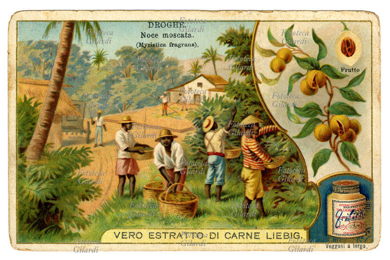 FEEDING Liebig Little figure of the series\