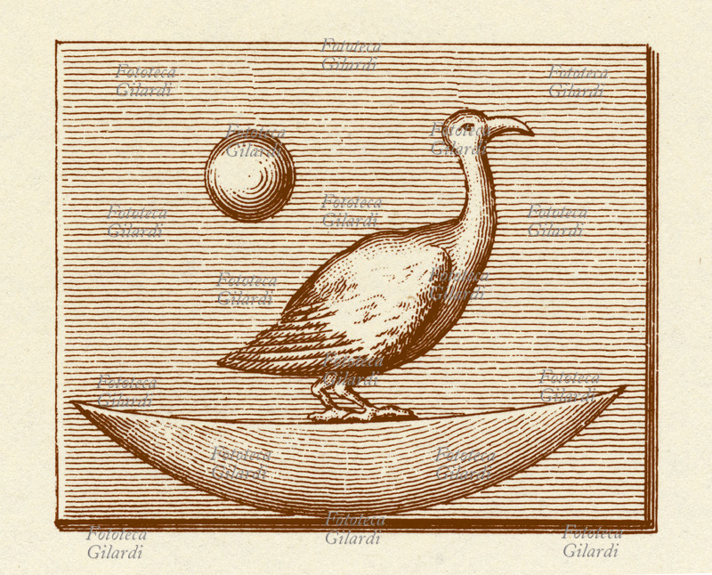 MITOLOGIA raffigurazione dell\