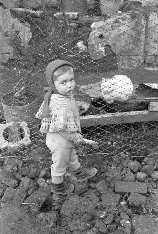 CHILDREN A little girl of about three years old from the Roman suburbs is portrayed in the courtyard of her home. She wears a shawl and a knotted scarf serves as a hat. In his right hand he is holding a saucer which he is in the act of offering to a white cat crouching on the other side of the garden fence. Degraded situation. Photography by Ando Gilardi (1921 - 2012) #andogilardi, Borghetto Nomentano (Rome) 1950-1955.