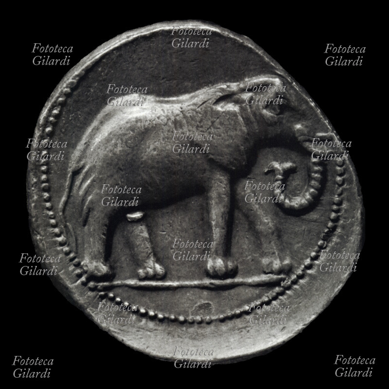 MONETE Moneta cartaginese sulla quale è raffigurato un elefante, commemorativa dell\