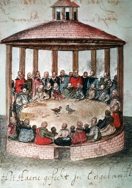 COMBATTIMENTO DI GALLI