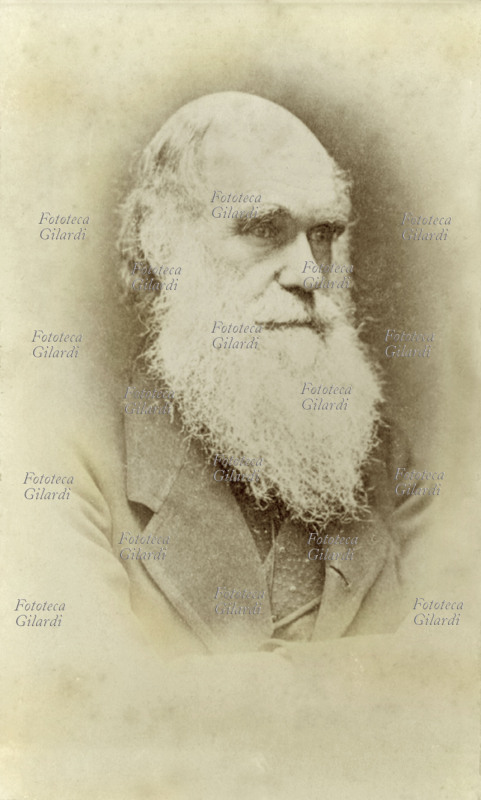 Charles DARWIN (12 febbraio 1809 – 19 aprile 1882) biologo, naturalista, geologo ed esploratore britannico. Ritratto fotografico in primo piano dello scienziato. Regno Unito, XIX secolo.