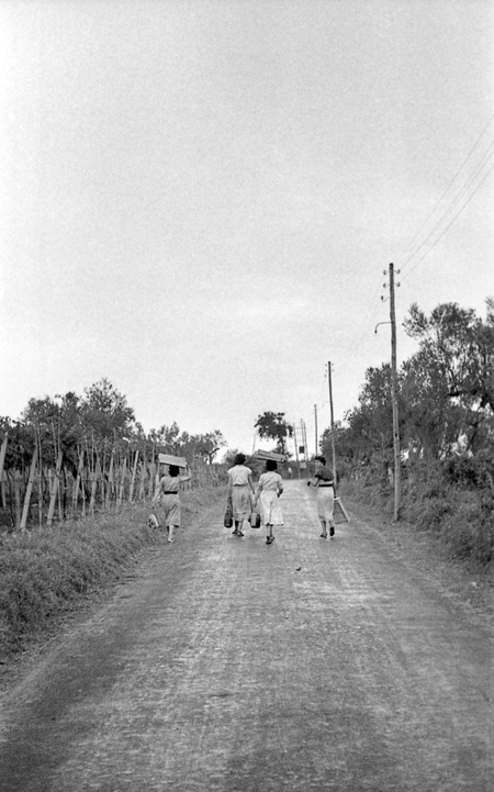 UVA AMARA VERSO LA POSTAZIONE ASSEGNATA UVA AMARA VERSO LA POSTAZIONE ASSEGNATA