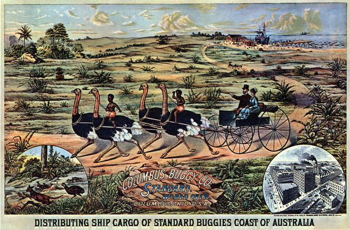 CARROZZELLA TRAINATA DA STRUZZI