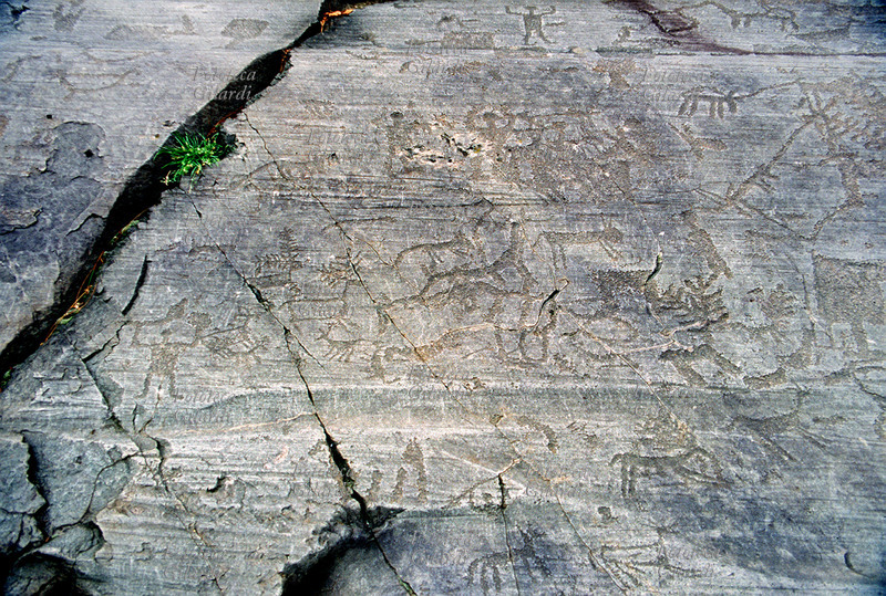 CAMUNI Uomini e bestiame, petroglifi su arenaria permiana. Parco Nazionale delle Incisioni Rupestri, età del ferro/bronzo - 5°/1° millennio a.C., sito riconosciuto dall\