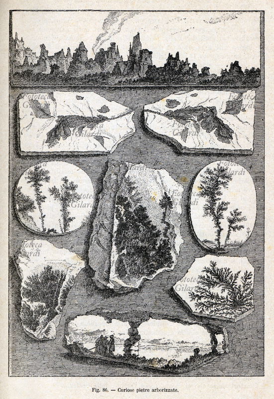 PREISTORIA Curiose pietre arborizzate. Incisione tratta da: «Il mondo prima della creazione dell\