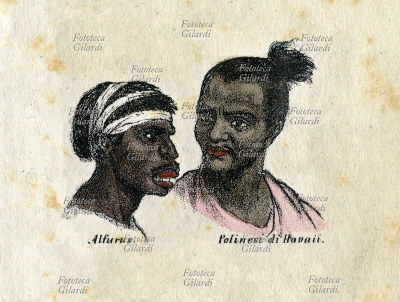 RAZZE UMANE "Alfurus, Polinesi di Hawaii". Didascalia originale stilata secondo il concetto ottocentesco di "razza", che sebbene permanga nel linguaggio comune si ritiene scientificamente superato nel tardo secolo successivo, e meglio definito con il termine ritenuto anche più politicamente corretto di "etnia" o "fenotipo", a seconda del contesto. Dettaglio dalla tavola V, "Prospetto di tutte le razze del globo e loro fogge di vestire", da "La Geografia a colpo d\