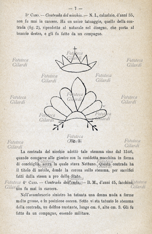 ANTROPOLOGIA CRIMINALE Conchiglia coronata, semplificazione dello stemma della contrada \