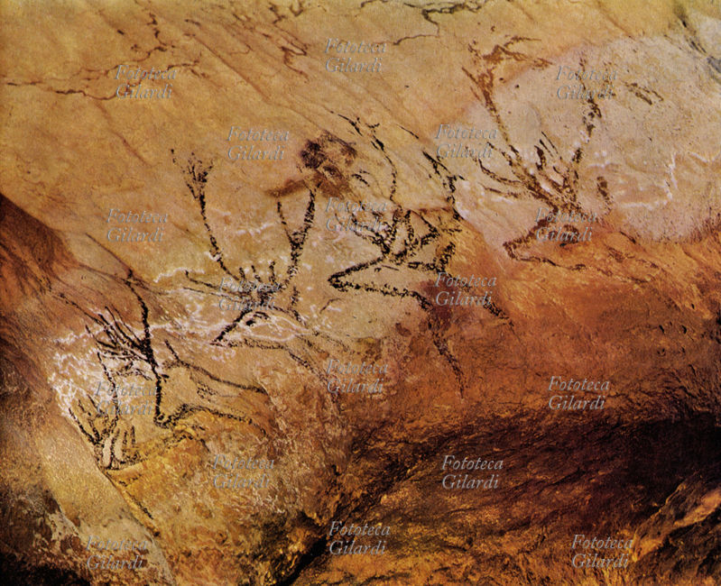 PREISTORIA Serie di teste di cervo sulla parete destra della navata nella caverna di Lascaux (Francia). Paleolitico superiore, magdaleniano 17.000 anni fa