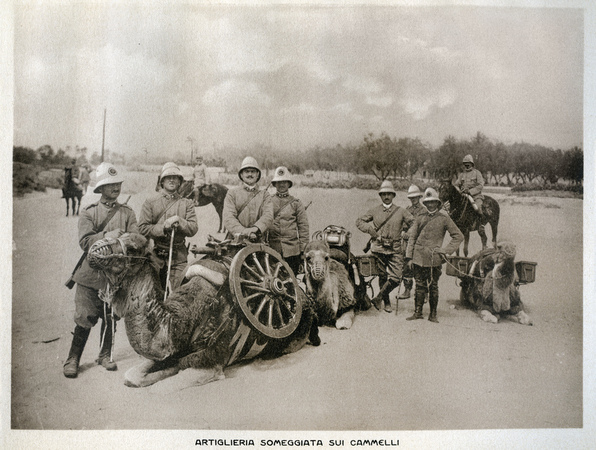 ARTIGLIERIA SOMEGGIATA SUI CAMMELLI