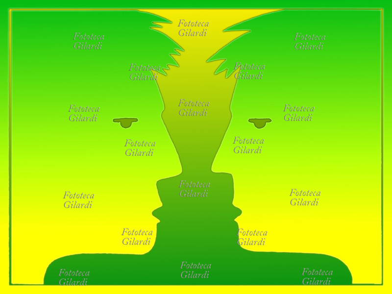 ZODIACO i Gemelli sono il terzo segno zodiacale dell\