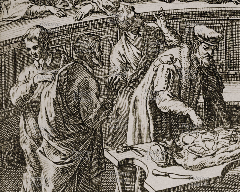 Bartolomeo EUSTACHI (1500-1574) Lezione di anatomia. Dettaglio dal frontespizio di un\
