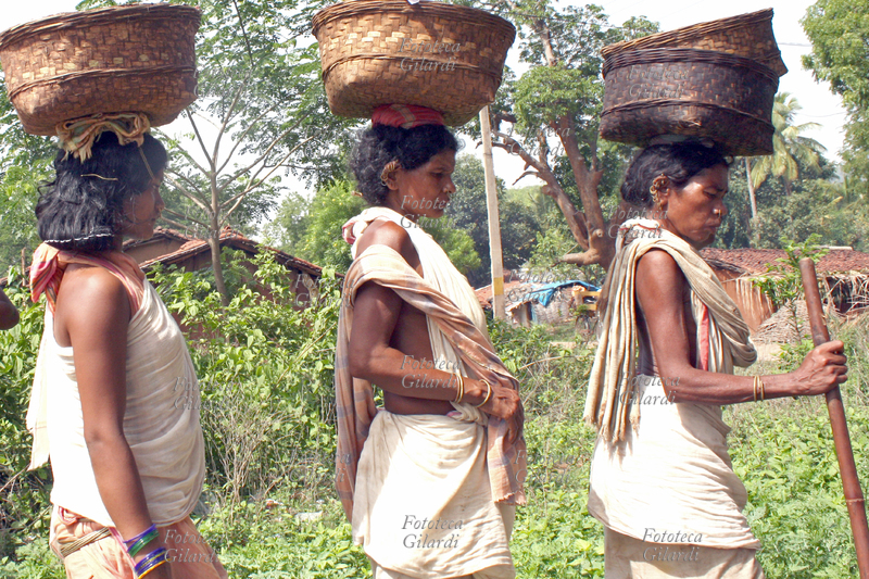 INDIA Donne della tribù primitiva dei Dongria Kondh, popolo indigeno dello Stato dell\