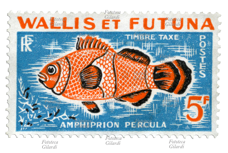 FRANCOBOLLO Amphiprion percula (pesce pagliaccio). Esemplare della serie "Tasse" emessa dalle Poste di Wallis e Futuna (territorio insulare francese nella parte sud dell\