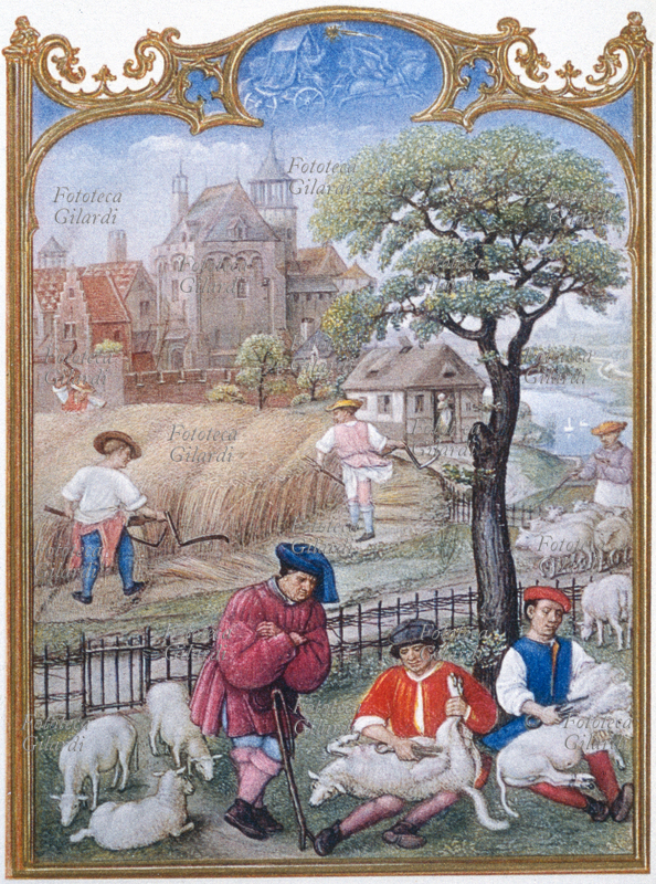 LUGLIO Scene di mietitura e tosatura, quadro di impronta naturalistica che ritrae la vita quotidiana dell\