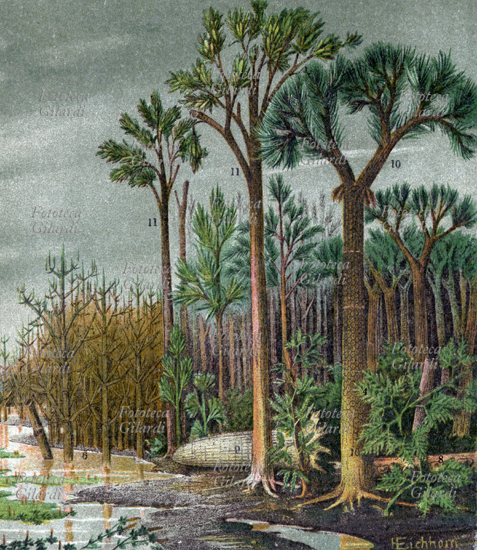 PREISTORIA Paesaggio, periodo geologico dell\