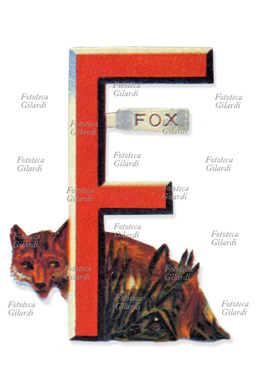 ALFABETO Lettera F fustellata con l\