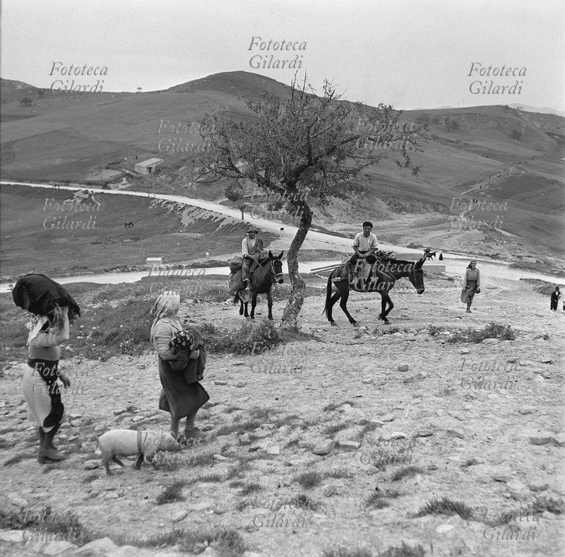 AGRICOLTURA contadini tornano a casa dai campi a dorso di mulo o a piedi. In primo piano due donne a piedi: chi porta in braccio un bimbo chi in testa un enorme fardello, le segue il maialino. Ripresa \