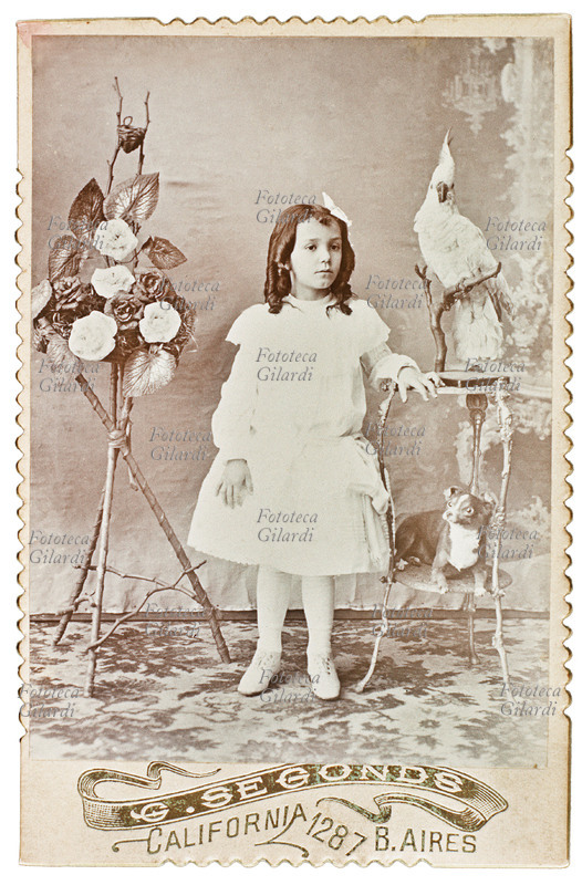 BAMBINA di circa sette anni, ritratta in piedi con elegante vestito bianco tra una colonnina decorata con rose e una su cui è appollaiato un pappagallo bianco (in alto) e un cagnolino seduto sul primo ripiano. Fotografia ricordo spedita in Italia alla famiglia di origine da emigrati in Argentina. Sul cartoncino del fotografo è indicato: G. Segonds, California 1287 - B. Aires, 1890 circa