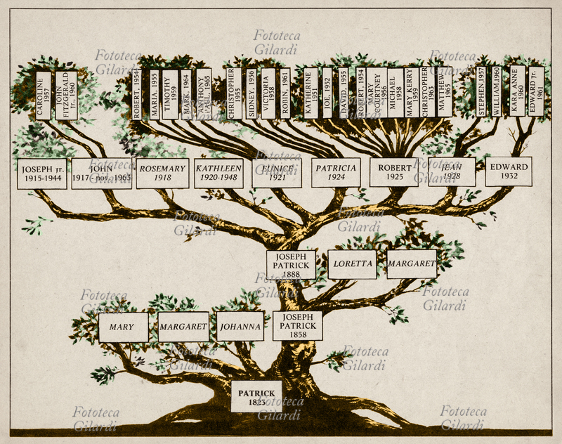 KENNEDY - Albero genealogico della famiglia Kennedy, stampa del 1967